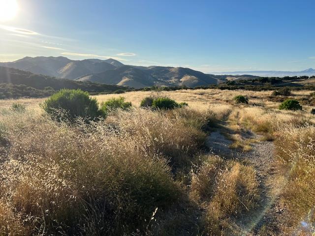 Detail Gallery Image 8 of 9 For 0 Pine Canyon Rd, King City,  CA 93930 - – Beds | – Baths