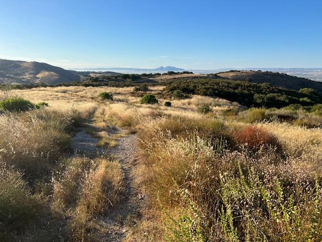 Detail Gallery Image 9 of 12 For 0 Pine Canyon Rd, King City,  CA 93930 - – Beds | – Baths