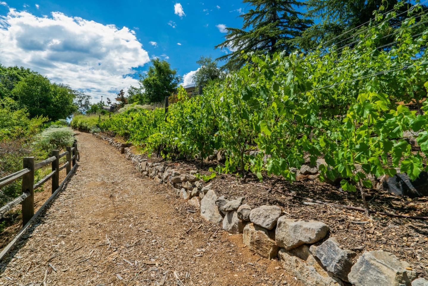 Detail Gallery Image 23 of 105 For 15651 Kennedy Rd, Los Gatos,  CA 95032 - 4 Beds | 3/1 Baths