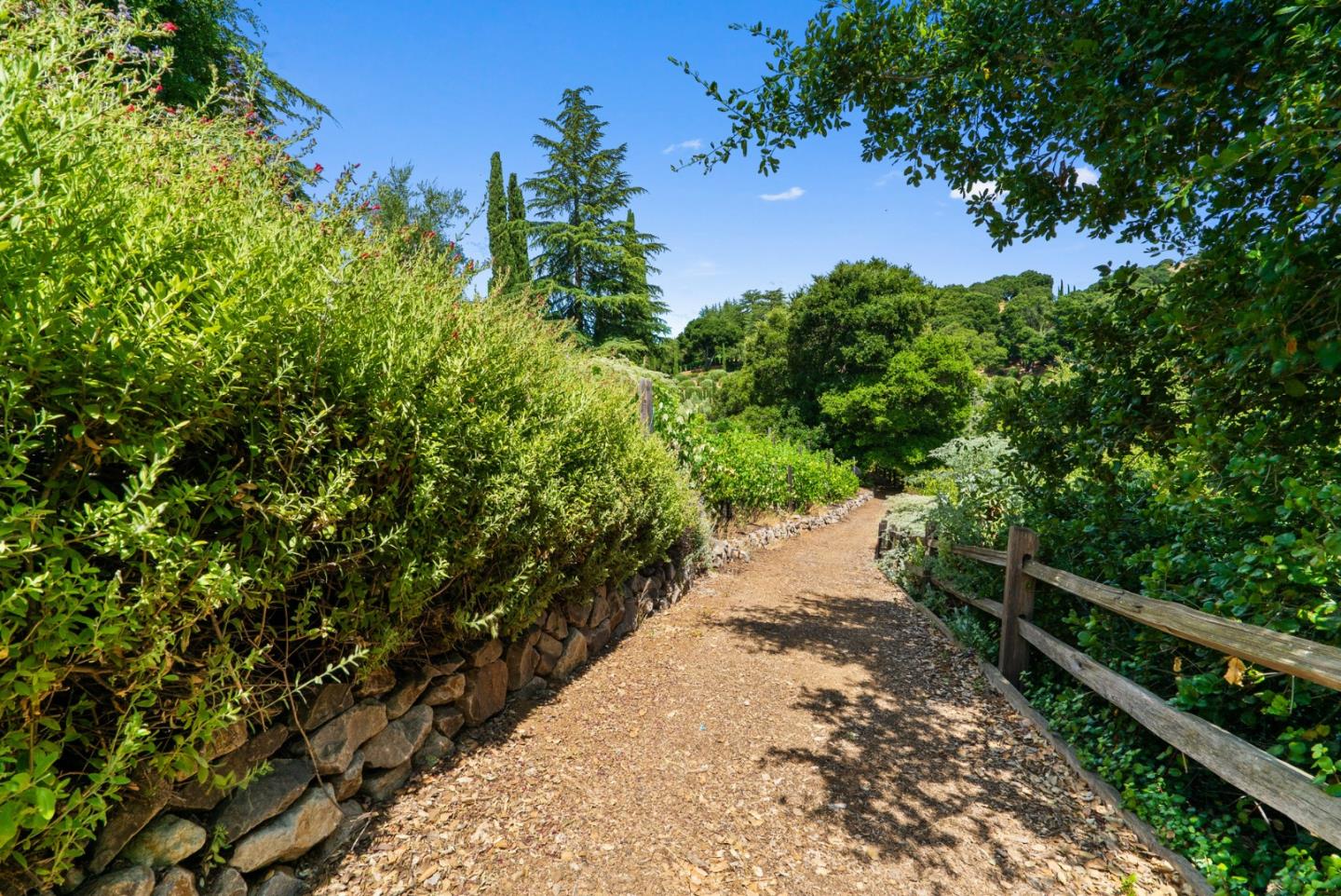 Detail Gallery Image 24 of 105 For 15651 Kennedy Rd, Los Gatos,  CA 95032 - 4 Beds | 3/1 Baths