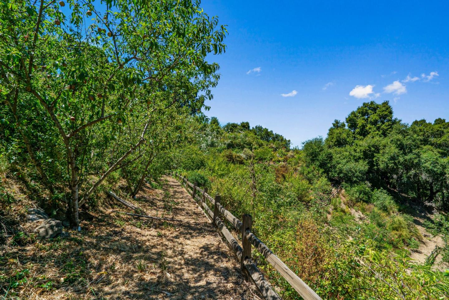 Detail Gallery Image 30 of 105 For 15651 Kennedy Rd, Los Gatos,  CA 95032 - 4 Beds | 3/1 Baths