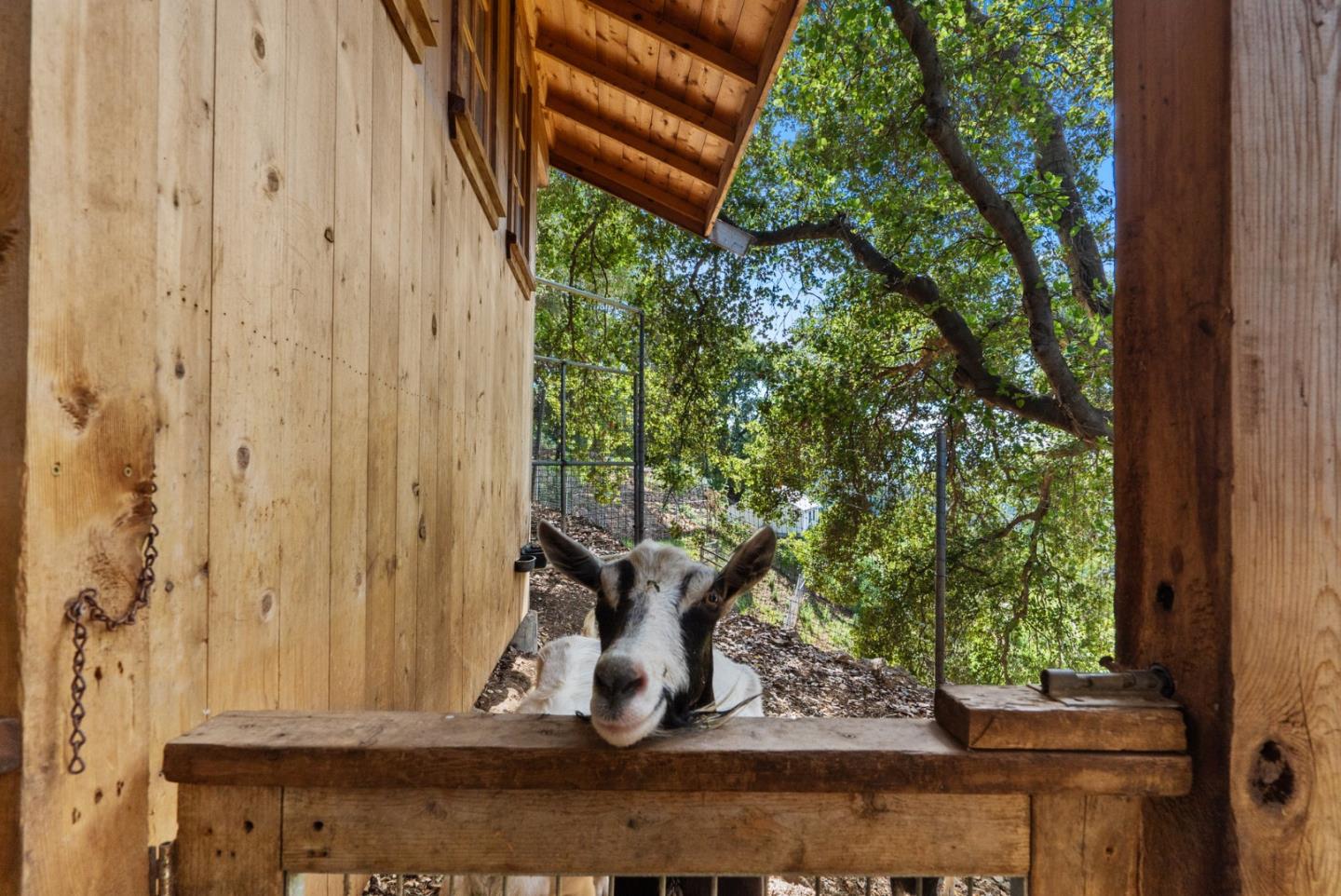 Detail Gallery Image 55 of 105 For 15651 Kennedy Rd, Los Gatos,  CA 95032 - 4 Beds | 3/1 Baths