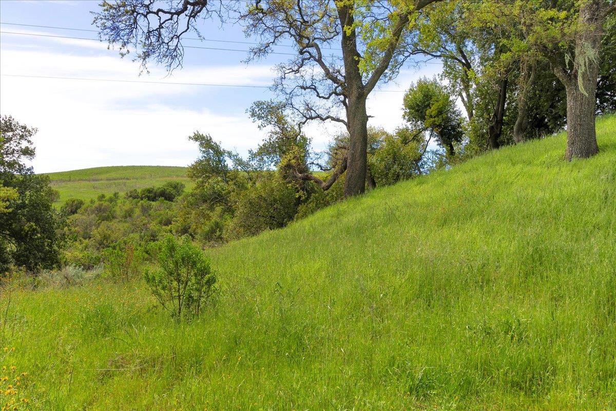 Detail Gallery Image 27 of 42 For 0 Mt Hamilton, San Jose,  CA 95140 - – Beds | – Baths