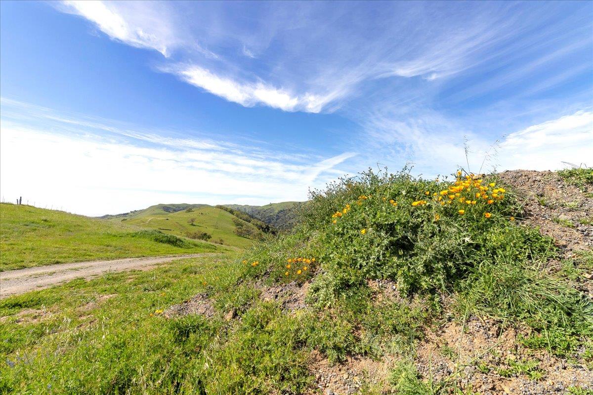 Detail Gallery Image 39 of 42 For 0 Mt Hamilton, San Jose,  CA 95140 - – Beds | – Baths