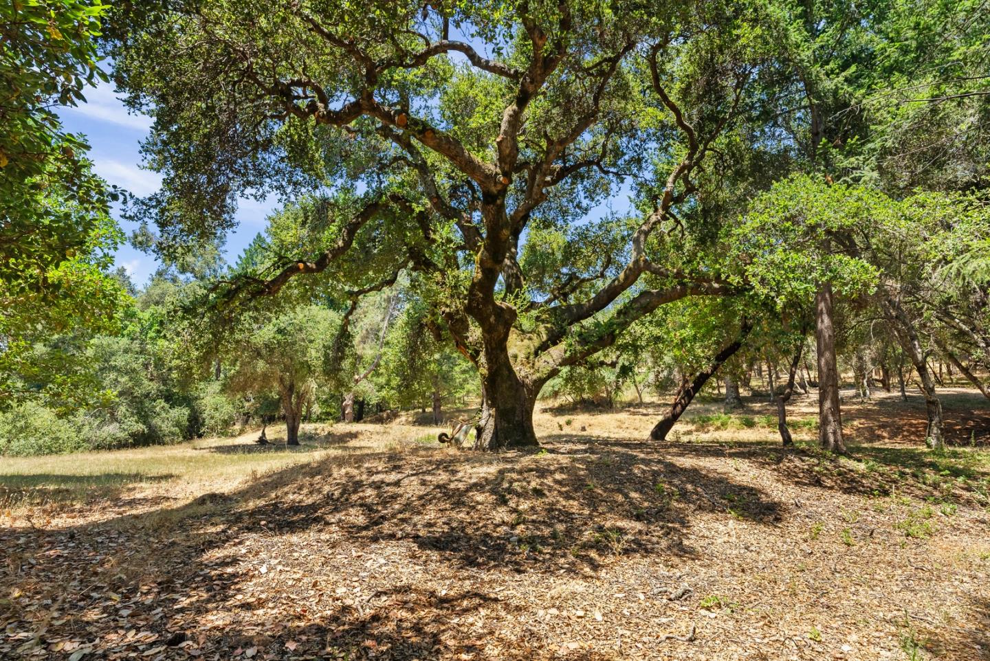 Detail Gallery Image 17 of 30 For 0 Spanish Ranch Rd, Los Gatos,  CA 95033 - – Beds | – Baths