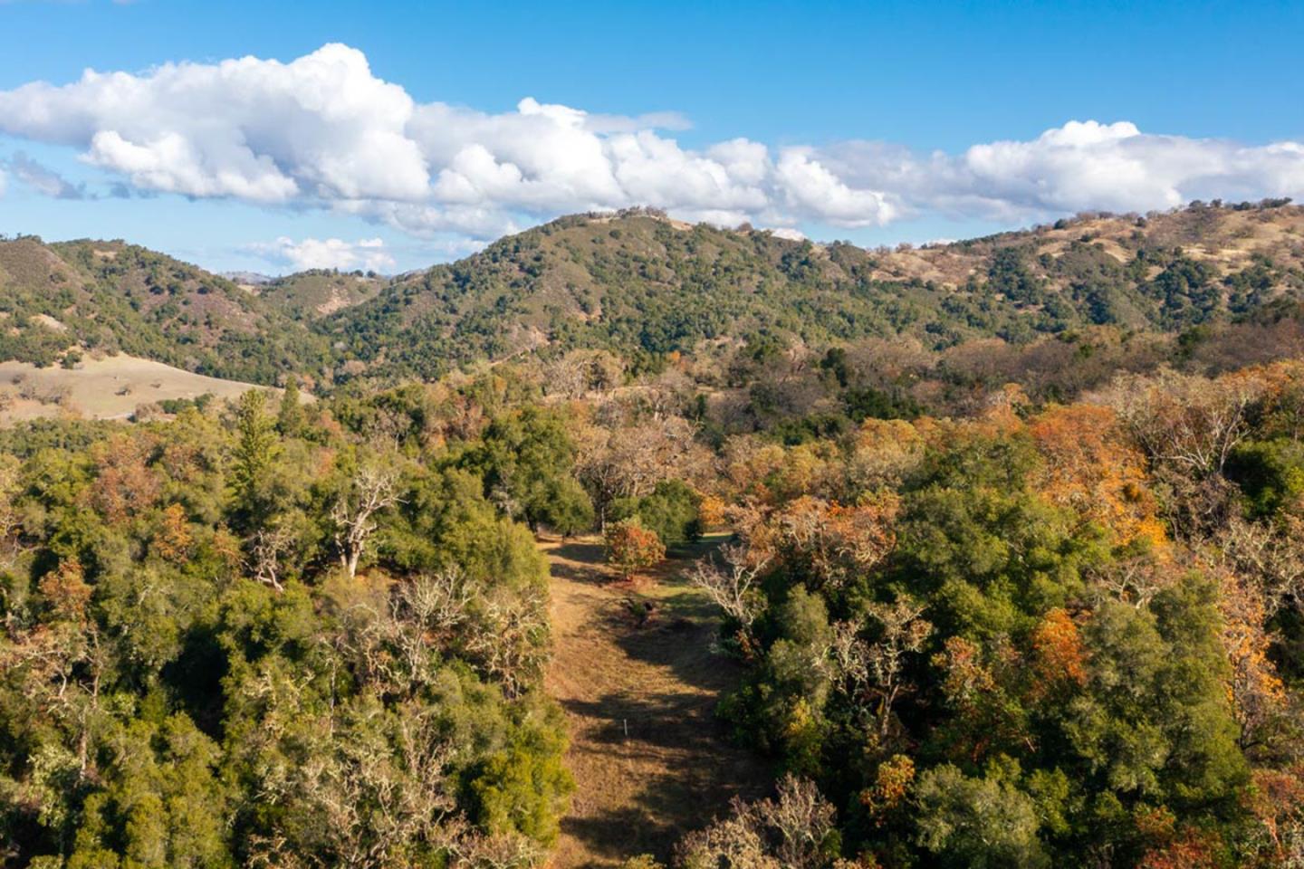 Detail Gallery Image 10 of 11 For 36 Arroyo Sequoia (Lot 117), Carmel,  CA 93923 - – Beds | – Baths