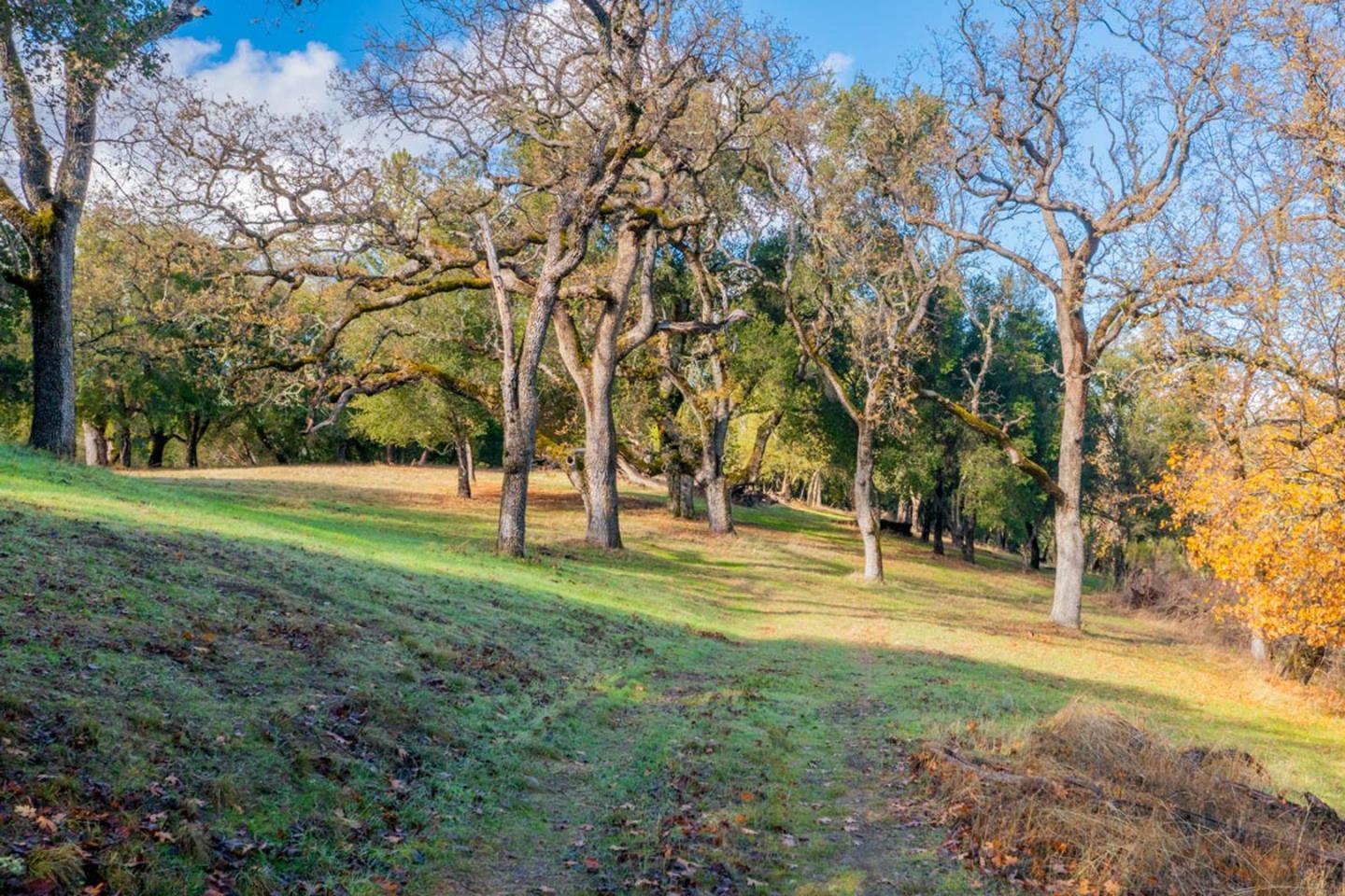 Detail Gallery Image 2 of 11 For 36 Arroyo Sequoia (Lot 117), Carmel,  CA 93923 - – Beds | – Baths