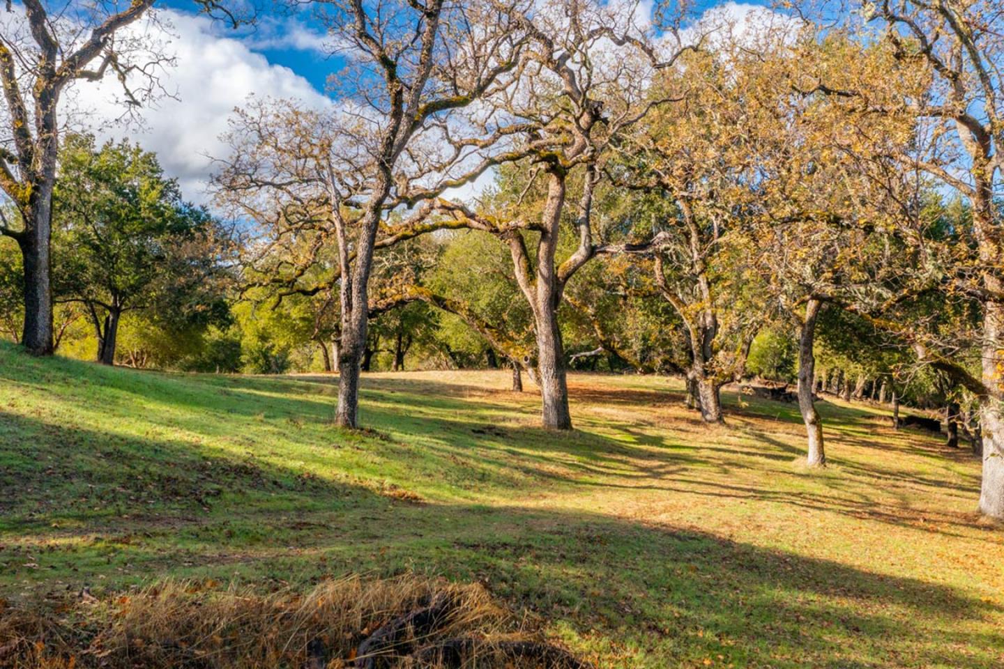 Detail Gallery Image 3 of 11 For 36 Arroyo Sequoia (Lot 117), Carmel,  CA 93923 - – Beds | – Baths