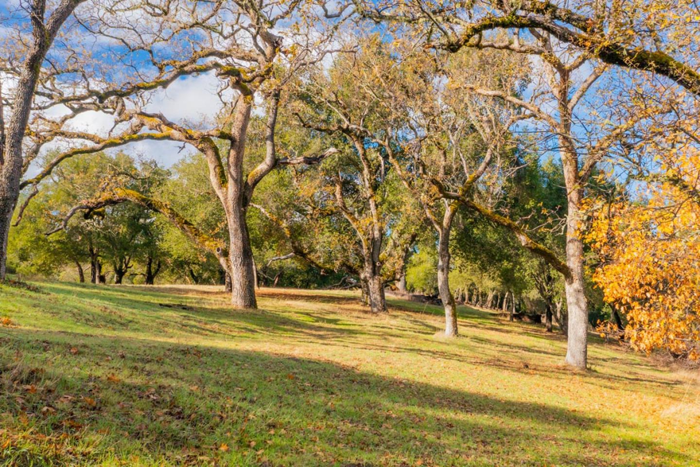 Detail Gallery Image 4 of 11 For 36 Arroyo Sequoia (Lot 117), Carmel,  CA 93923 - – Beds | – Baths