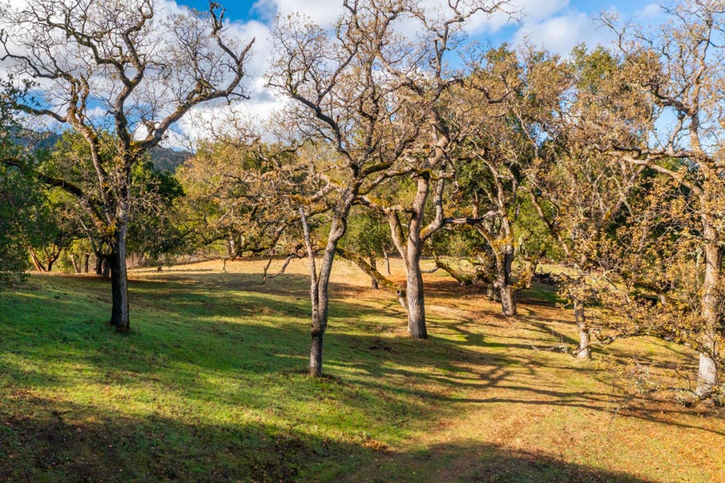 Detail Gallery Image 5 of 11 For 36 Arroyo Sequoia (Lot 117), Carmel,  CA 93923 - – Beds | – Baths