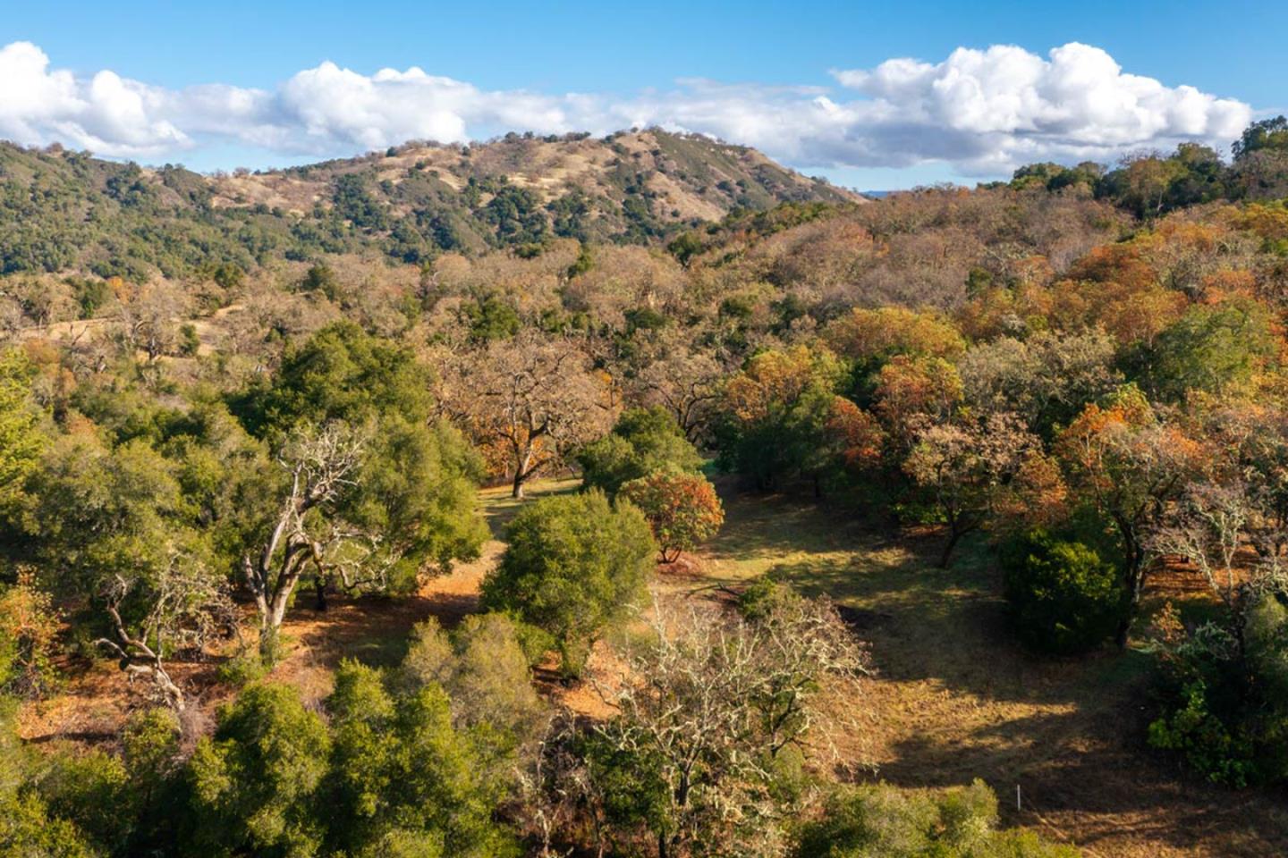 Detail Gallery Image 6 of 11 For 36 Arroyo Sequoia (Lot 117), Carmel,  CA 93923 - – Beds | – Baths