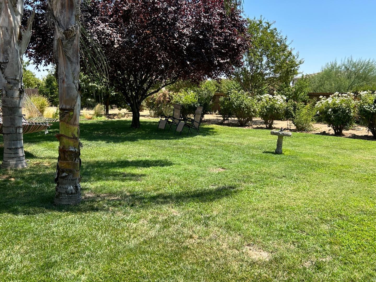 9695 Heatherhearst Dr, Chowchilla, CA 93610 photo 34