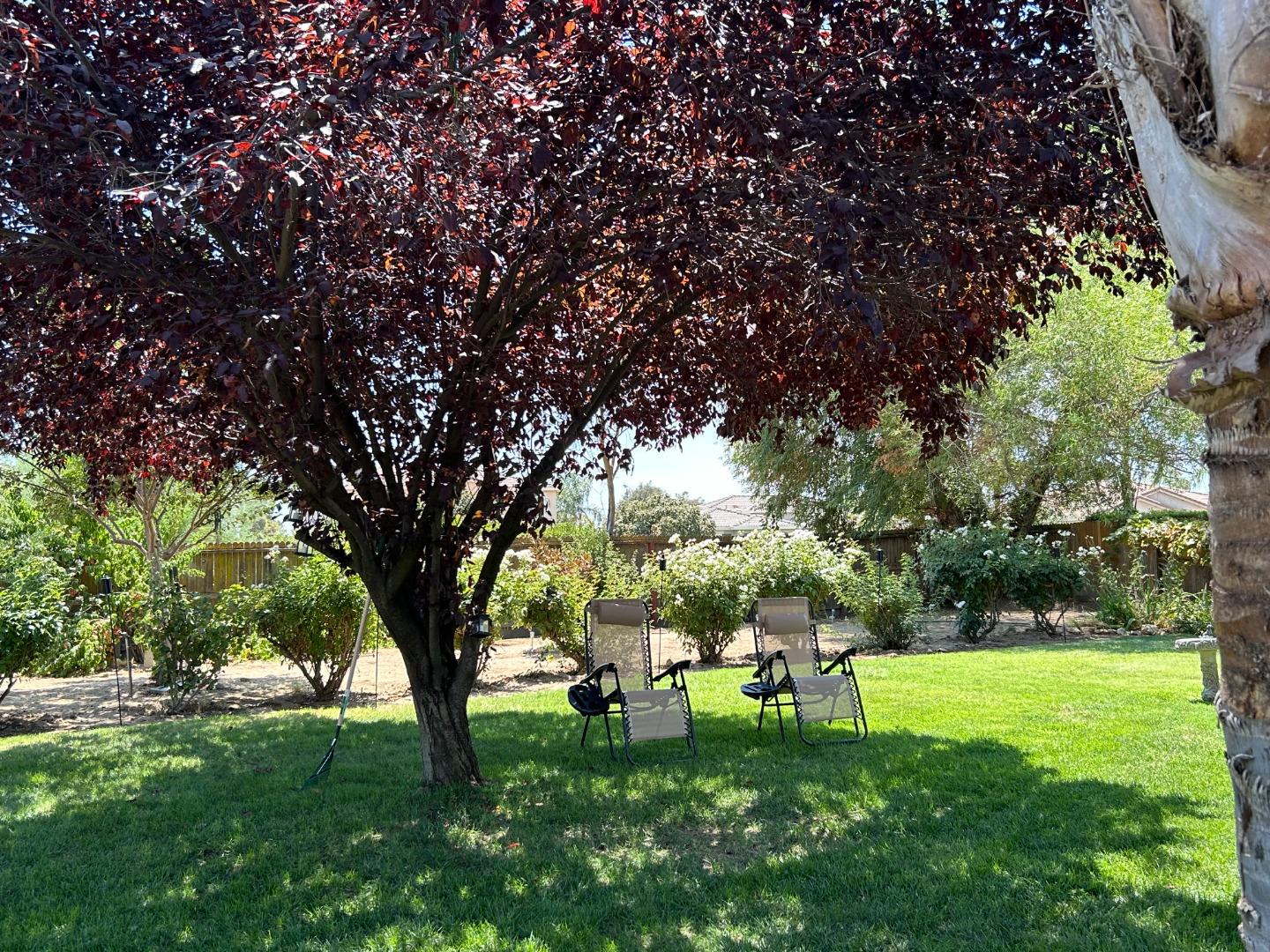 9695 Heatherhearst Dr, Chowchilla, CA 93610 photo 42