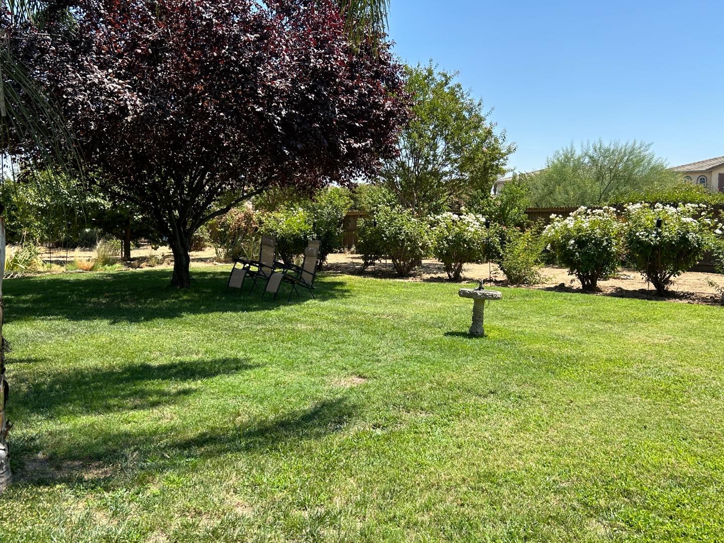 9695 Heatherhearst Dr, Chowchilla, CA 93610 photo 49