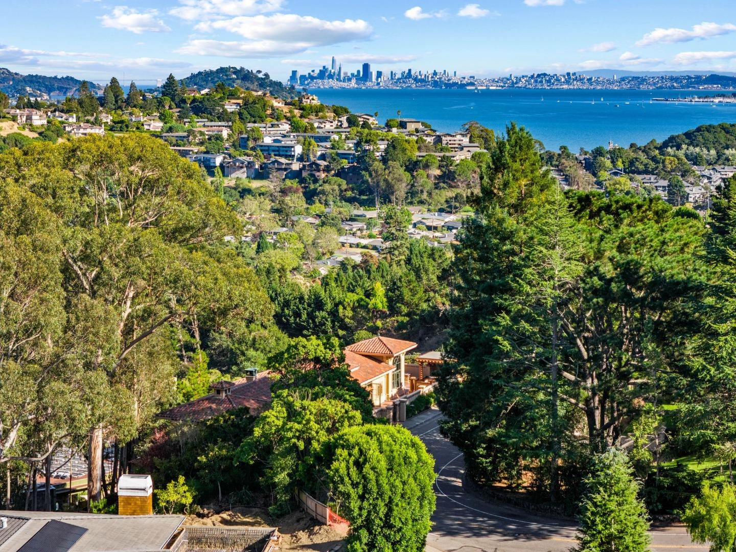 Detail Gallery Image 89 of 99 For 32 via Los Altos, Tiburon,  CA 94920 - 4 Beds | 6/1 Baths