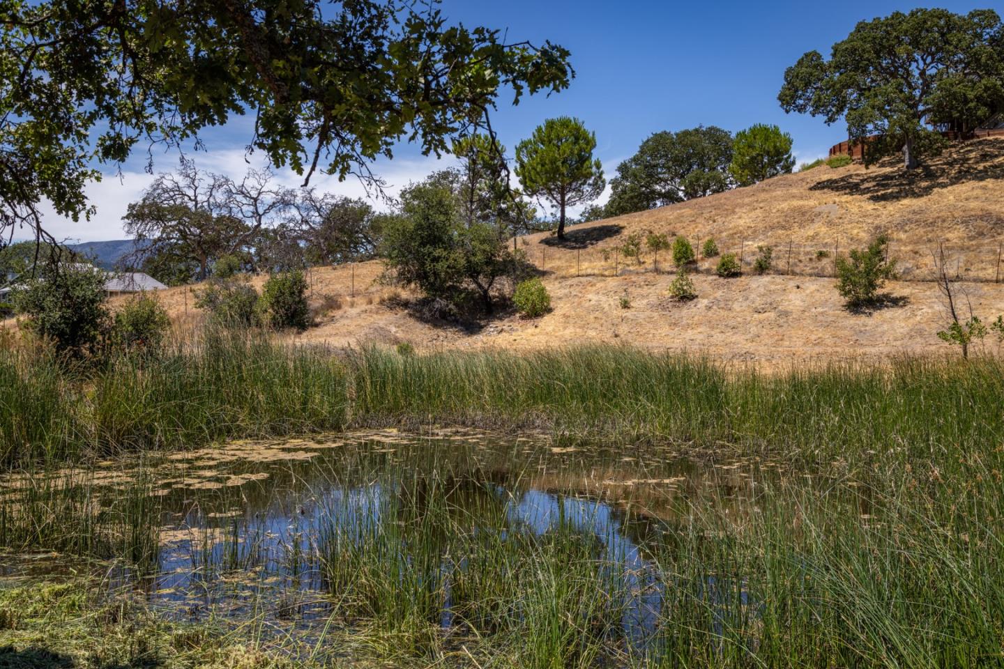 Detail Gallery Image 11 of 14 For 35180 Sky Ranch Rd, Carmel Valley,  CA 93924 - – Beds | – Baths