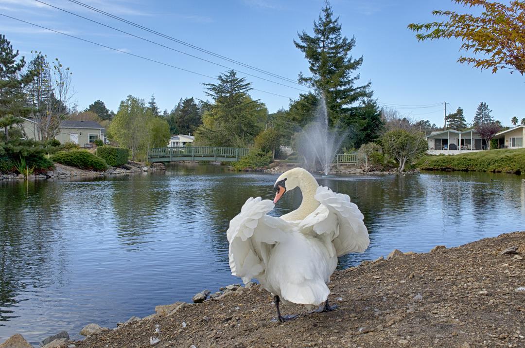 Detail Gallery Image 23 of 35 For 225 Mount Hermon Rd #31,  Scotts Valley,  CA 95066 - 2 Beds | 2 Baths