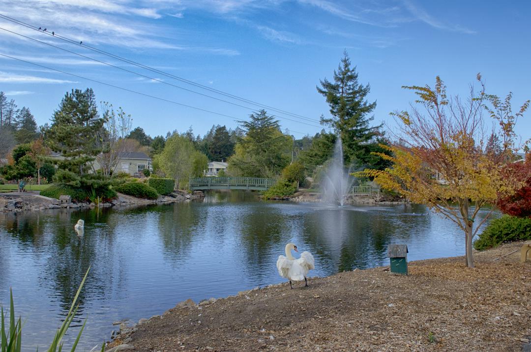 Detail Gallery Image 24 of 35 For 225 Mount Hermon Rd #31,  Scotts Valley,  CA 95066 - 2 Beds | 2 Baths