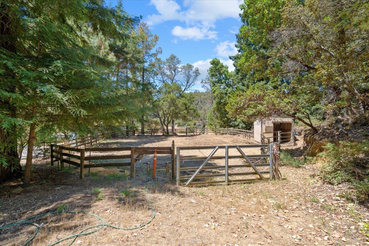 707 Summit Rd, Santa Cruz County, CA 95076 photo 22