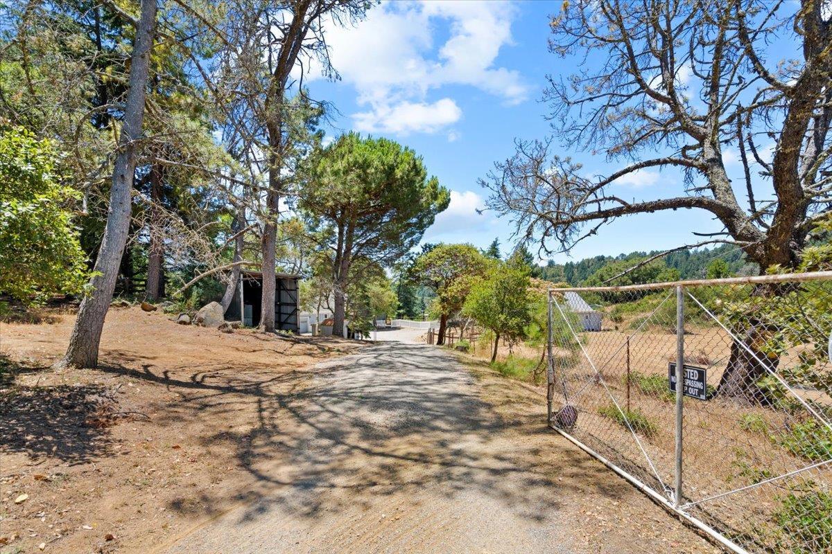 707 Summit Rd, Santa Cruz County, CA 95076 photo 34
