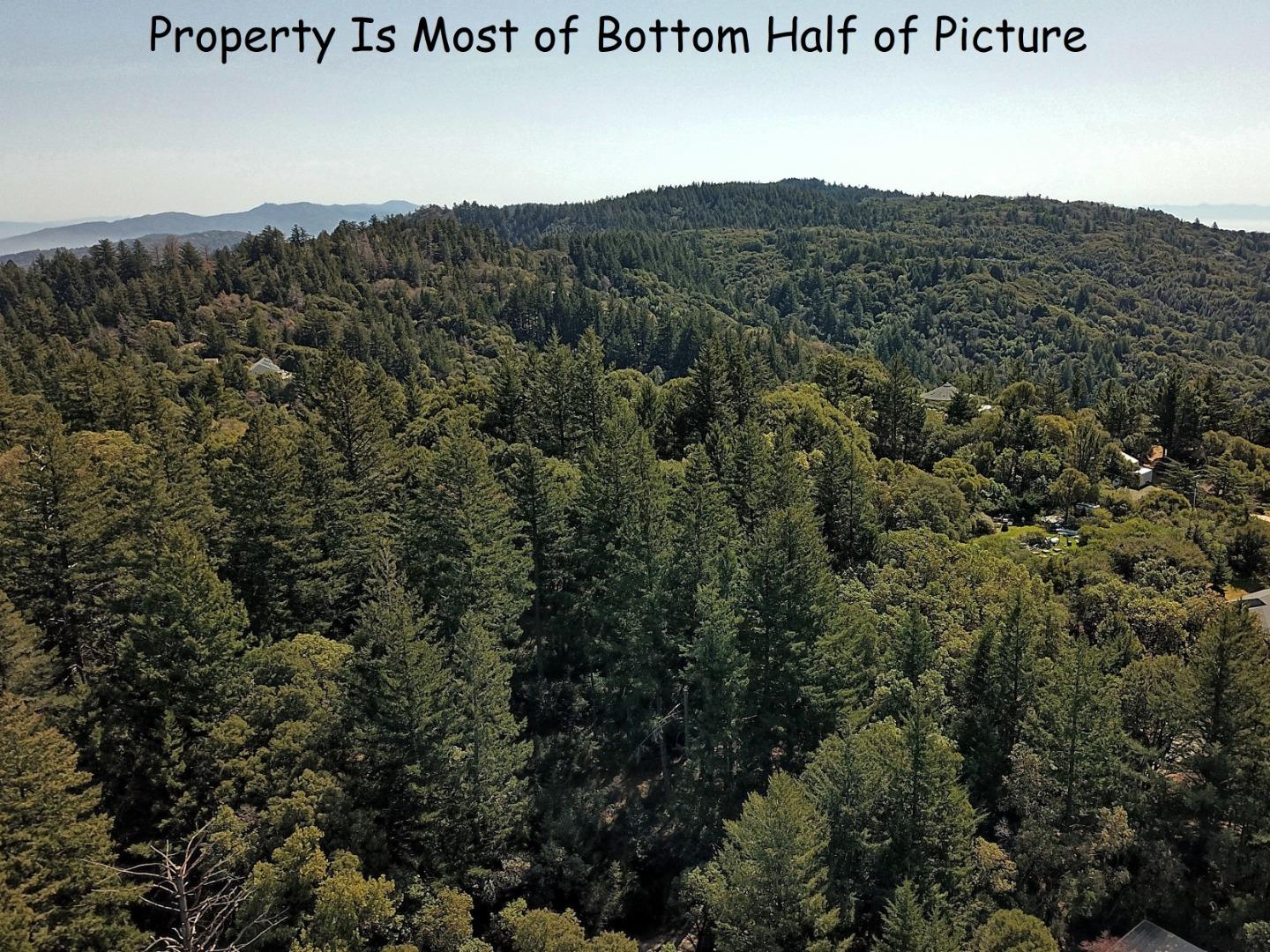 Detail Gallery Image 15 of 18 For 12500 Fox Run, Los Gatos,  CA 95033 - – Beds | – Baths