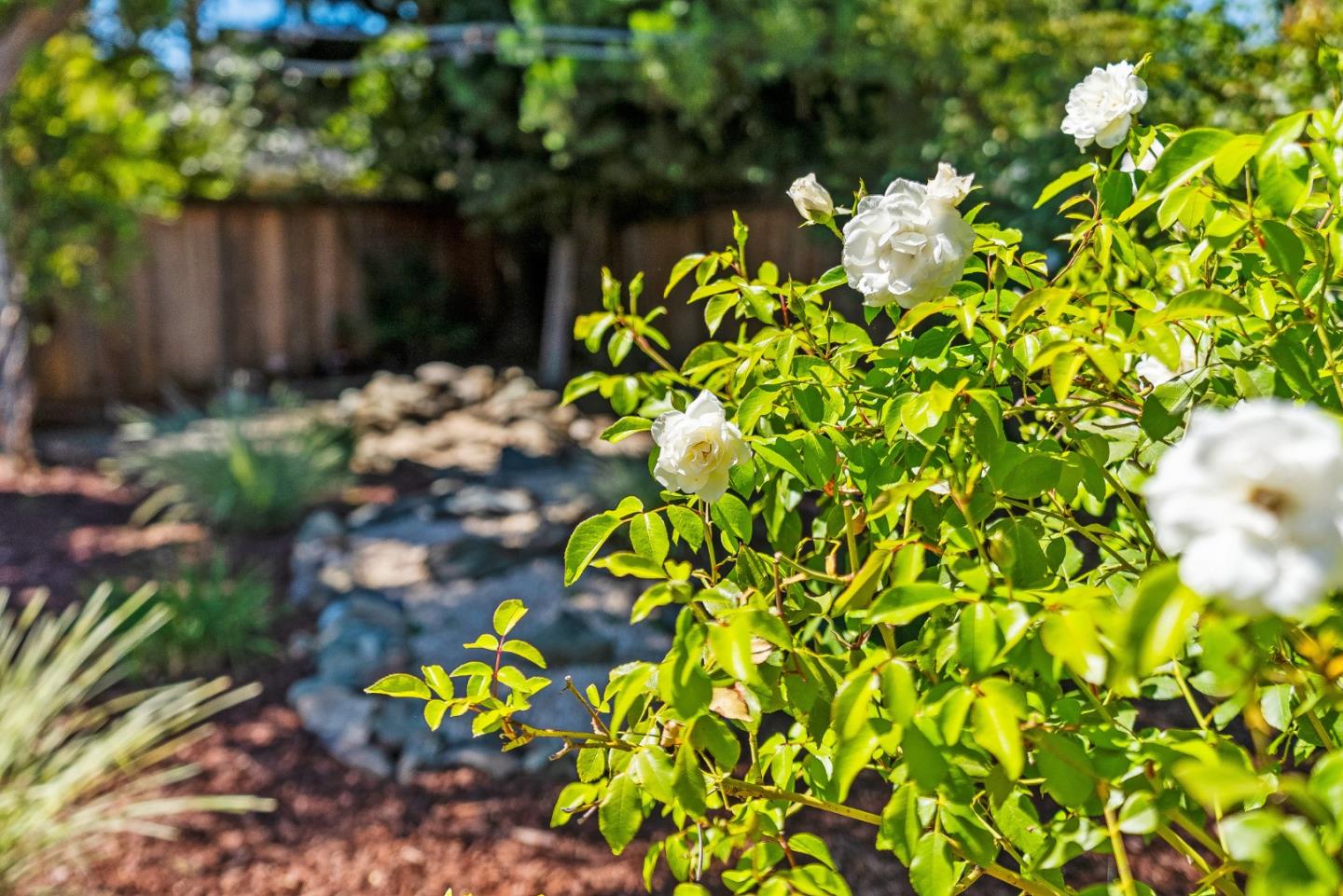 Detail Gallery Image 27 of 41 For 3763 Xavier Ct, Campbell,  CA 95008 - 3 Beds | 2 Baths