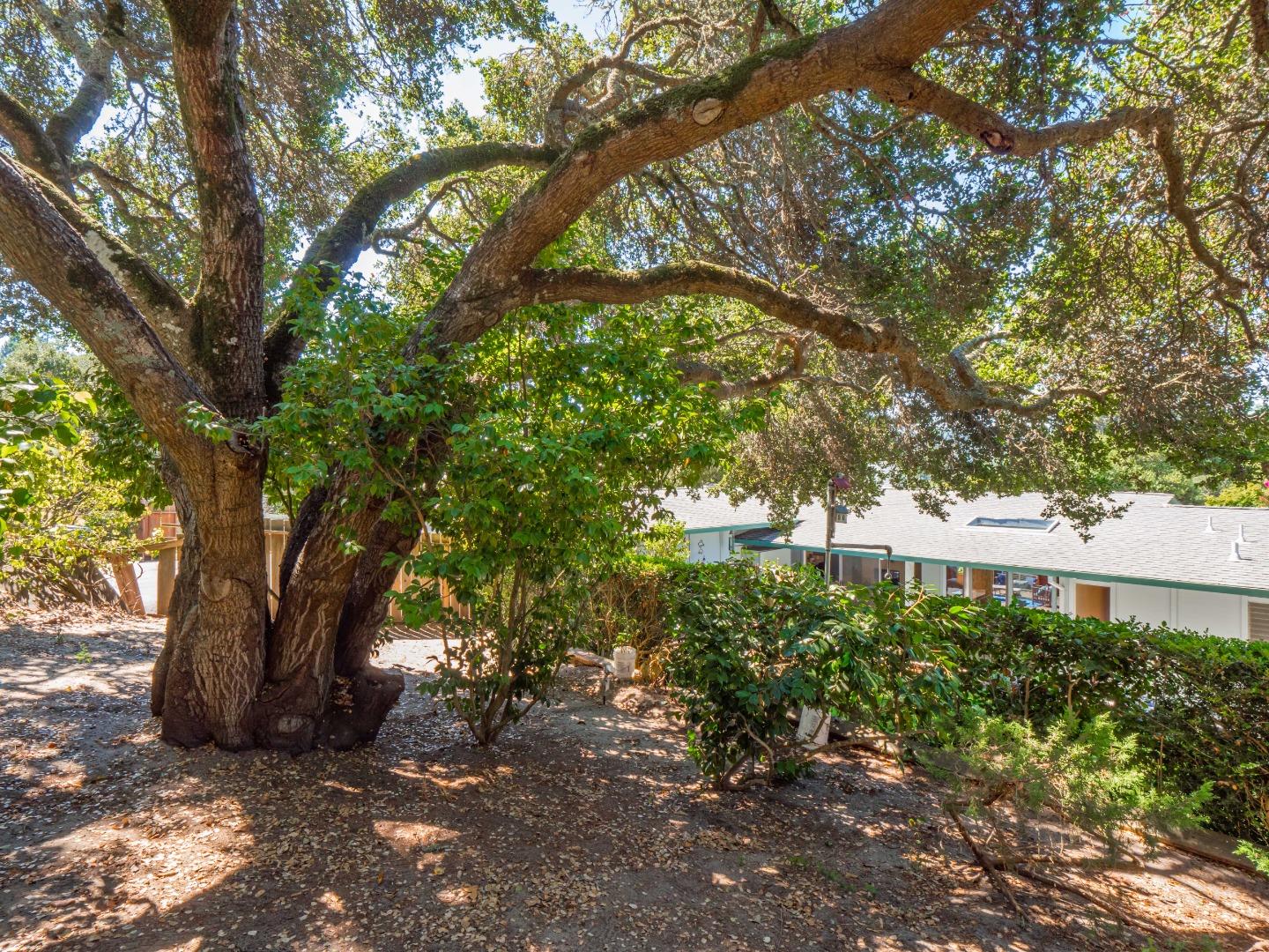 Detail Gallery Image 34 of 45 For 102 Oak Knoll Dr, Santa Cruz,  CA 95060 - 3 Beds | 2 Baths