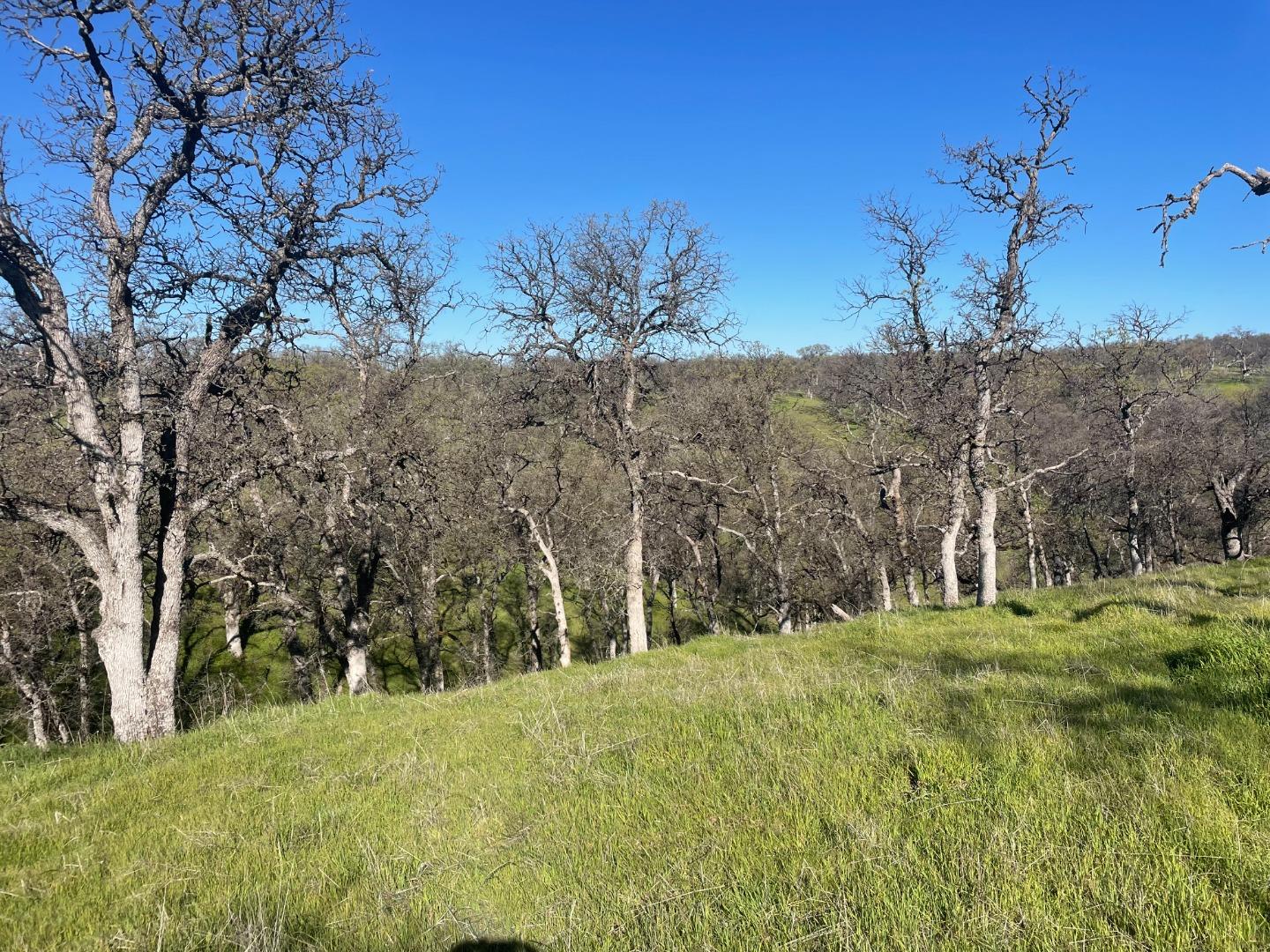 Detail Gallery Image 2 of 11 For 108 Lot 8 of Tract No.91-1002 Ln, Red Bluff,  CA 96080 - – Beds | – Baths