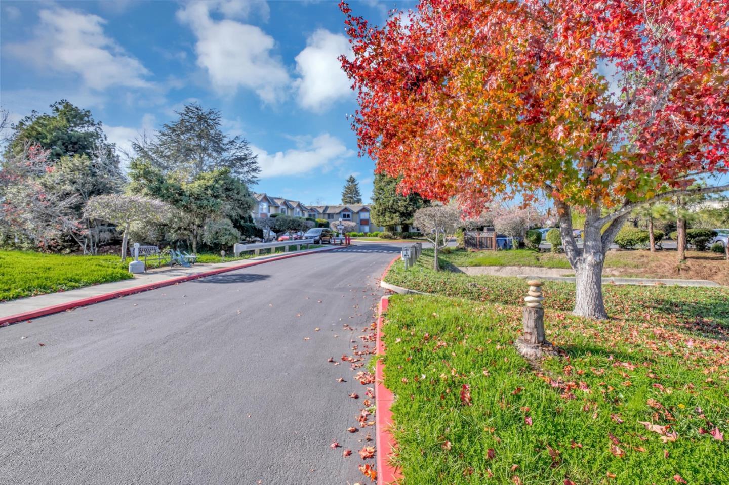 Detail Gallery Image 1 of 14 For 203 Vista Prieta Ct, Santa Cruz,  CA 95062 - 1 Beds | 1 Baths