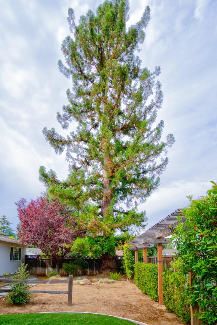 Detail Gallery Image 39 of 40 For 1118 Allston Ct, San Jose,  CA 95120 - 4 Beds | 2/1 Baths