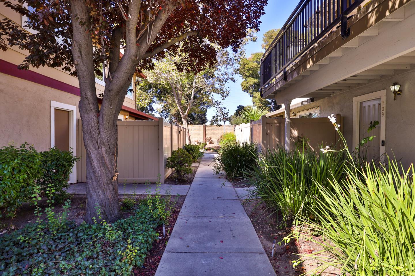 Detail Gallery Image 3 of 31 For 705 Whitewater Ct, San Jose,  CA 95133 - 2 Beds | 1/1 Baths