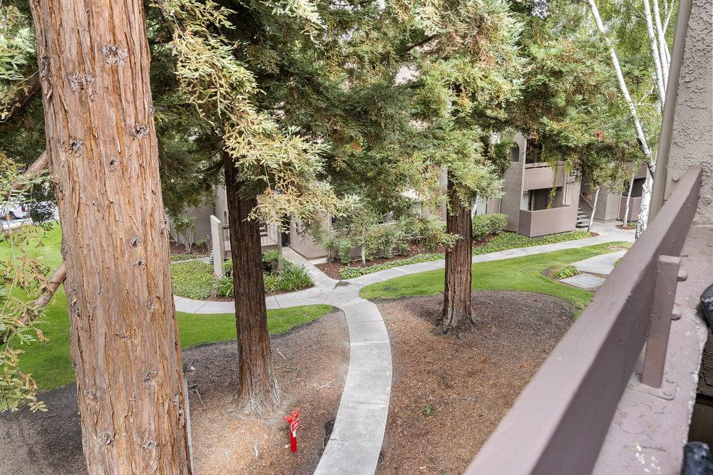 2250 Monroe St Apt 394, Santa Clara, CA 95050 photo 35