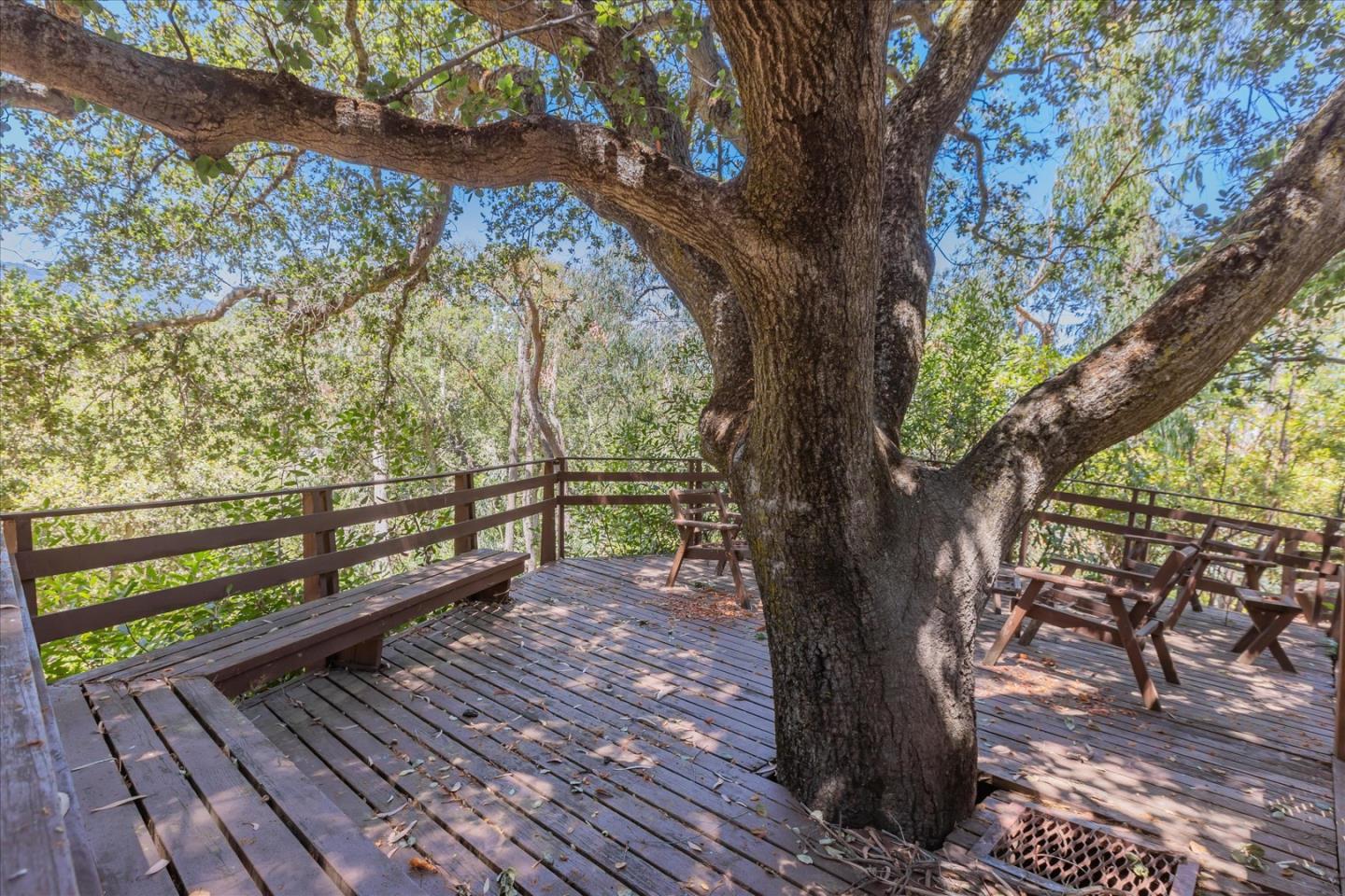 Detail Gallery Image 47 of 69 For 5824 Arboretum Dr, Los Altos,  CA 94024 - 2 Beds | 2 Baths