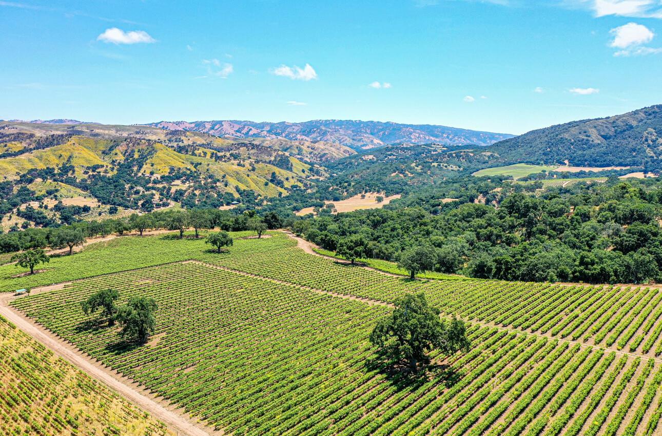 Detail Gallery Image 2 of 64 For 18820 Cachagua Rd, Carmel Valley,  CA 93924 - 7 Beds | 6/1 Baths
