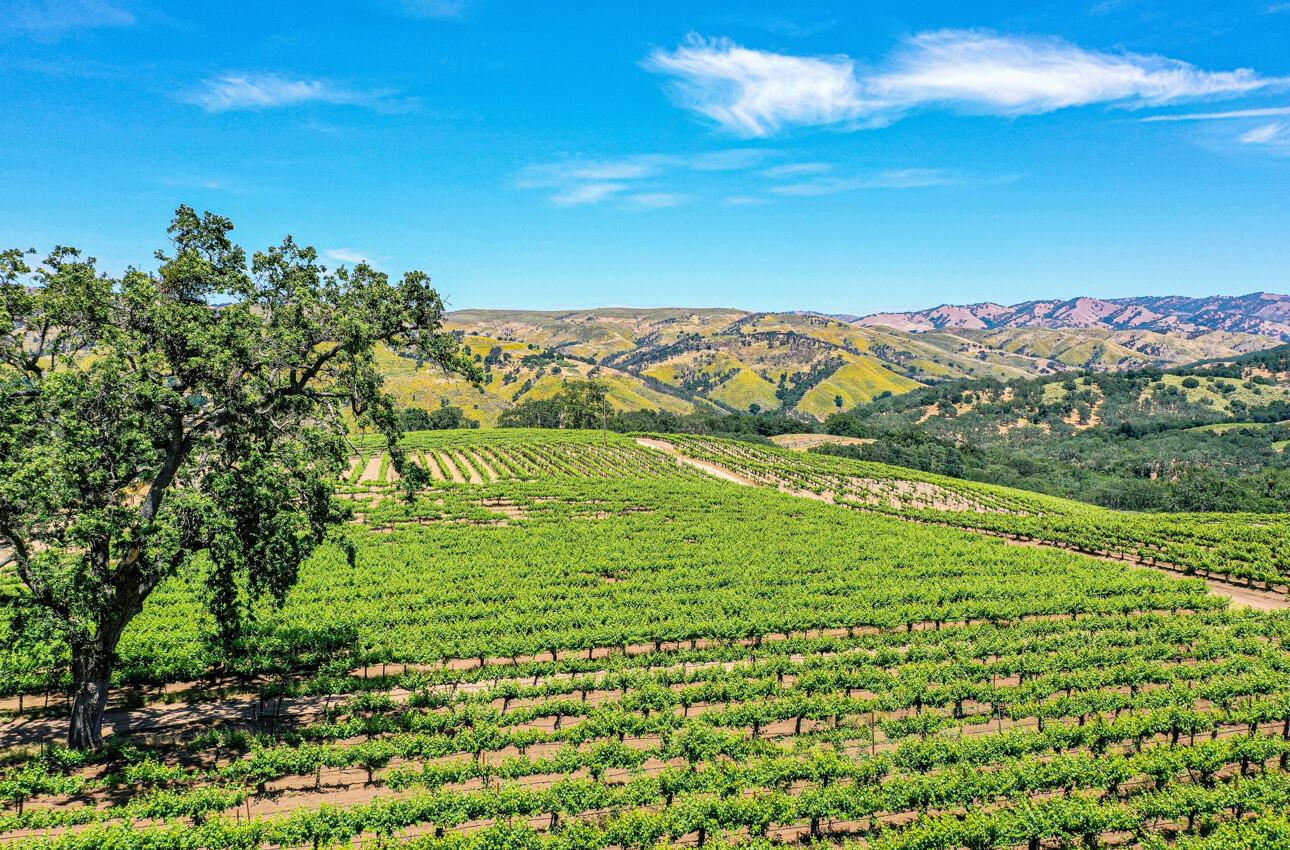 Detail Gallery Image 33 of 64 For 18820 Cachagua Rd, Carmel Valley,  CA 93924 - 7 Beds | 6/1 Baths