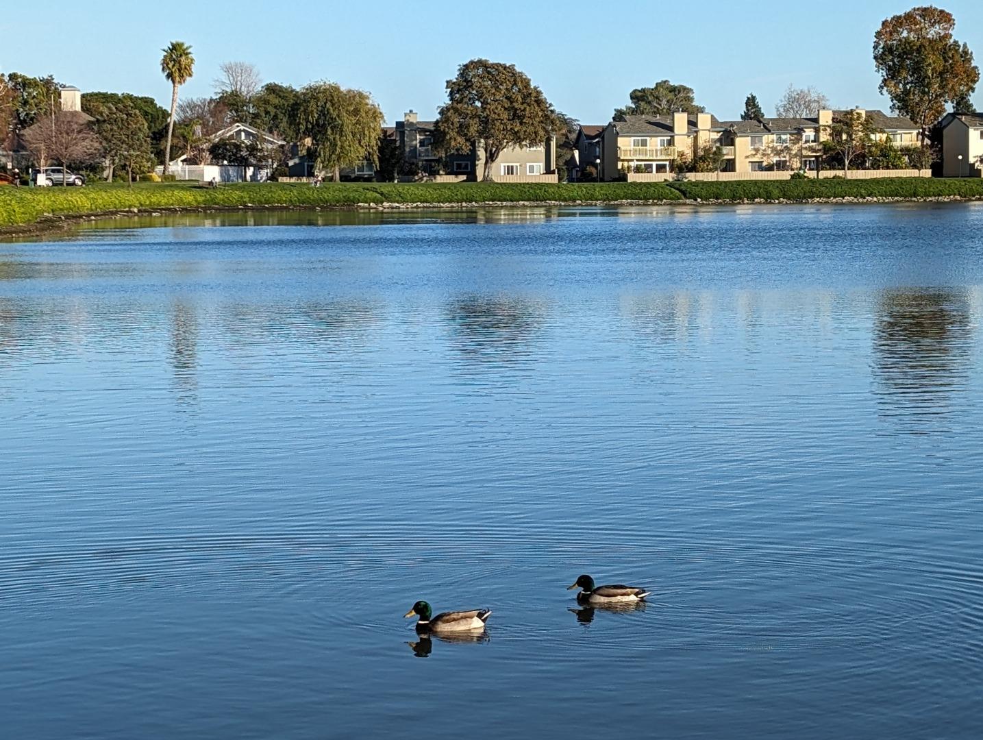 Detail Gallery Image 1 of 35 For 152 Beach Park Blvd, Foster City,  CA 94404 - 2 Beds | 1/1 Baths