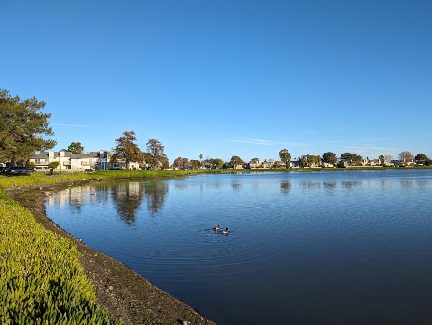 Detail Gallery Image 32 of 35 For 152 Beach Park Blvd, Foster City,  CA 94404 - 2 Beds | 1/1 Baths