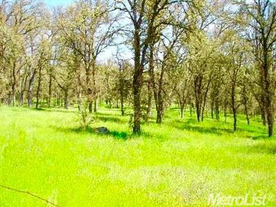 Detail Gallery Image 1 of 7 For 0 Grassy Run Rd, Placerville,  CA 95667 - – Beds | – Baths