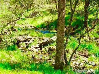 0 Grassy Run Road, Placerville, California 95667, ,Land,For Sale,0 Grassy Run Road,ML81977085