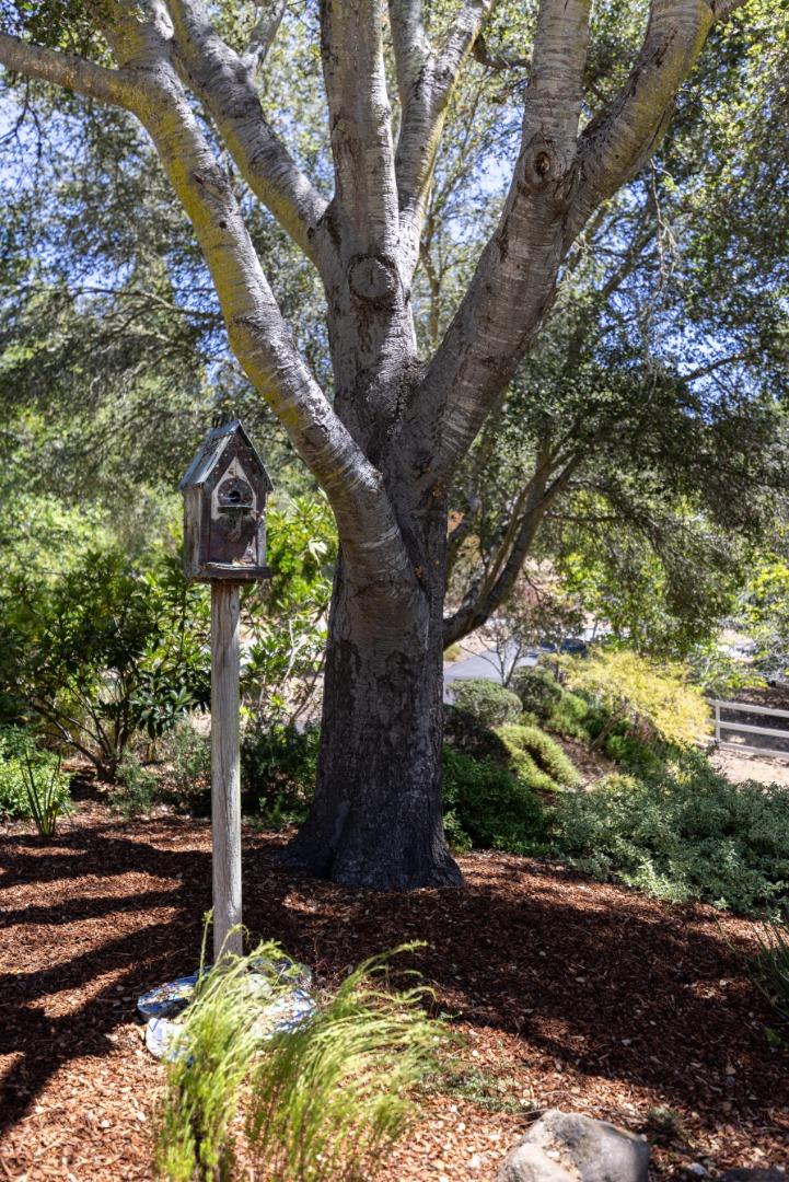 Detail Gallery Image 45 of 65 For 661 Meadow Rd, Aptos,  CA 95003 - 4 Beds | 3 Baths