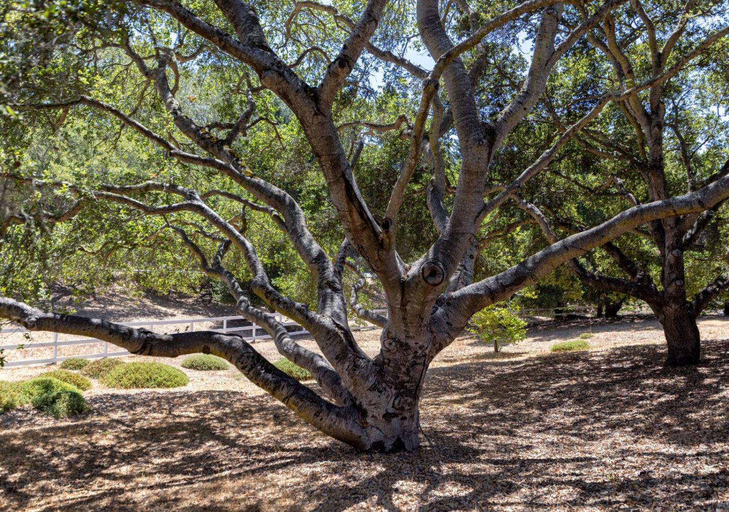 Detail Gallery Image 46 of 65 For 661 Meadow Rd, Aptos,  CA 95003 - 4 Beds | 3 Baths