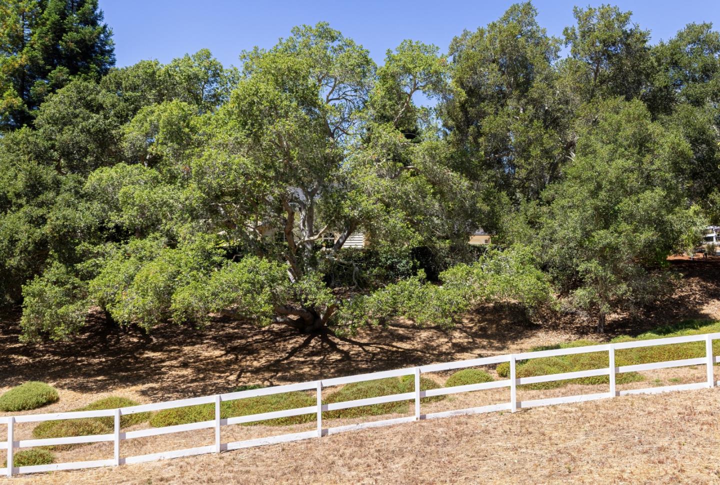 Detail Gallery Image 63 of 65 For 661 Meadow Rd, Aptos,  CA 95003 - 4 Beds | 3 Baths