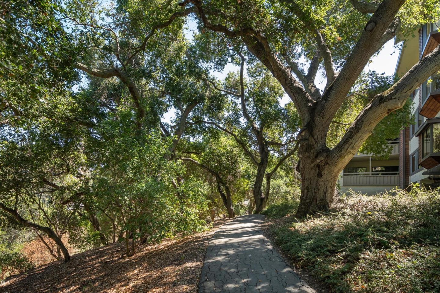 Detail Gallery Image 23 of 27 For 1230 Sharon Park Dr #55,  Menlo Park,  CA 94025 - 2 Beds | 2 Baths