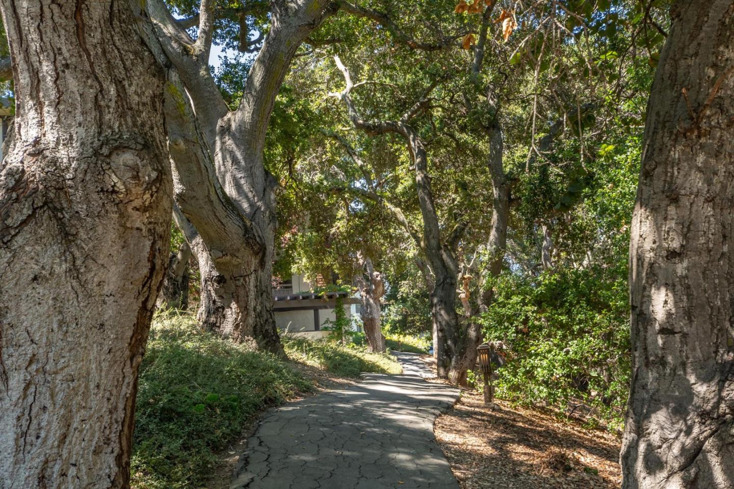 Detail Gallery Image 24 of 27 For 1230 Sharon Park Dr #55,  Menlo Park,  CA 94025 - 2 Beds | 2 Baths