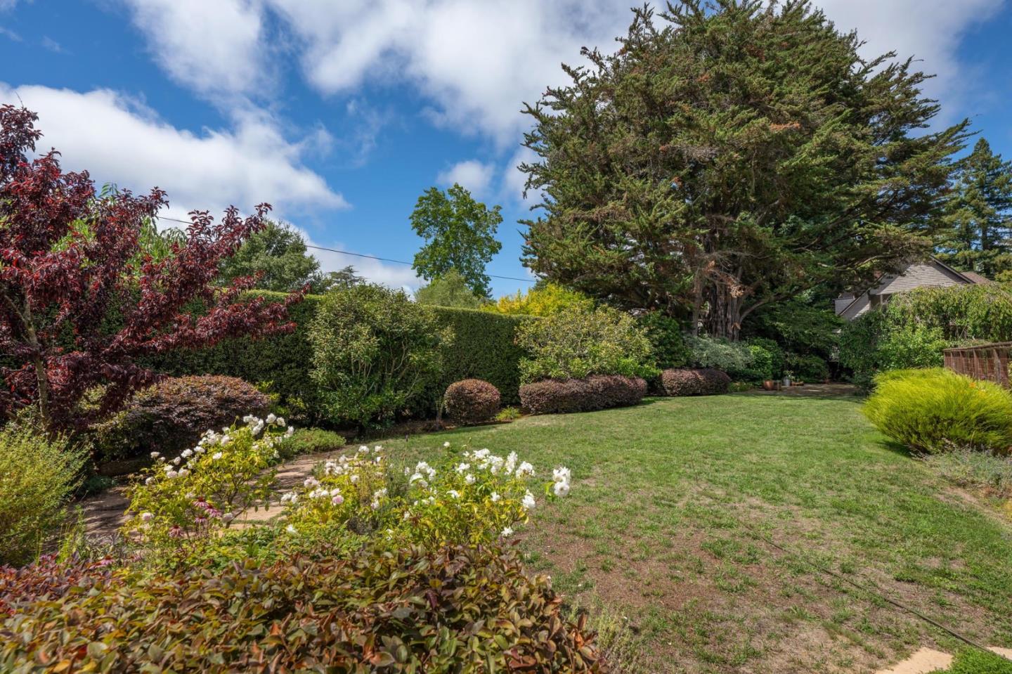 Detail Gallery Image 24 of 28 For 183 W Poplar Ave, San Mateo,  CA 94402 - 5 Beds | 4/1 Baths