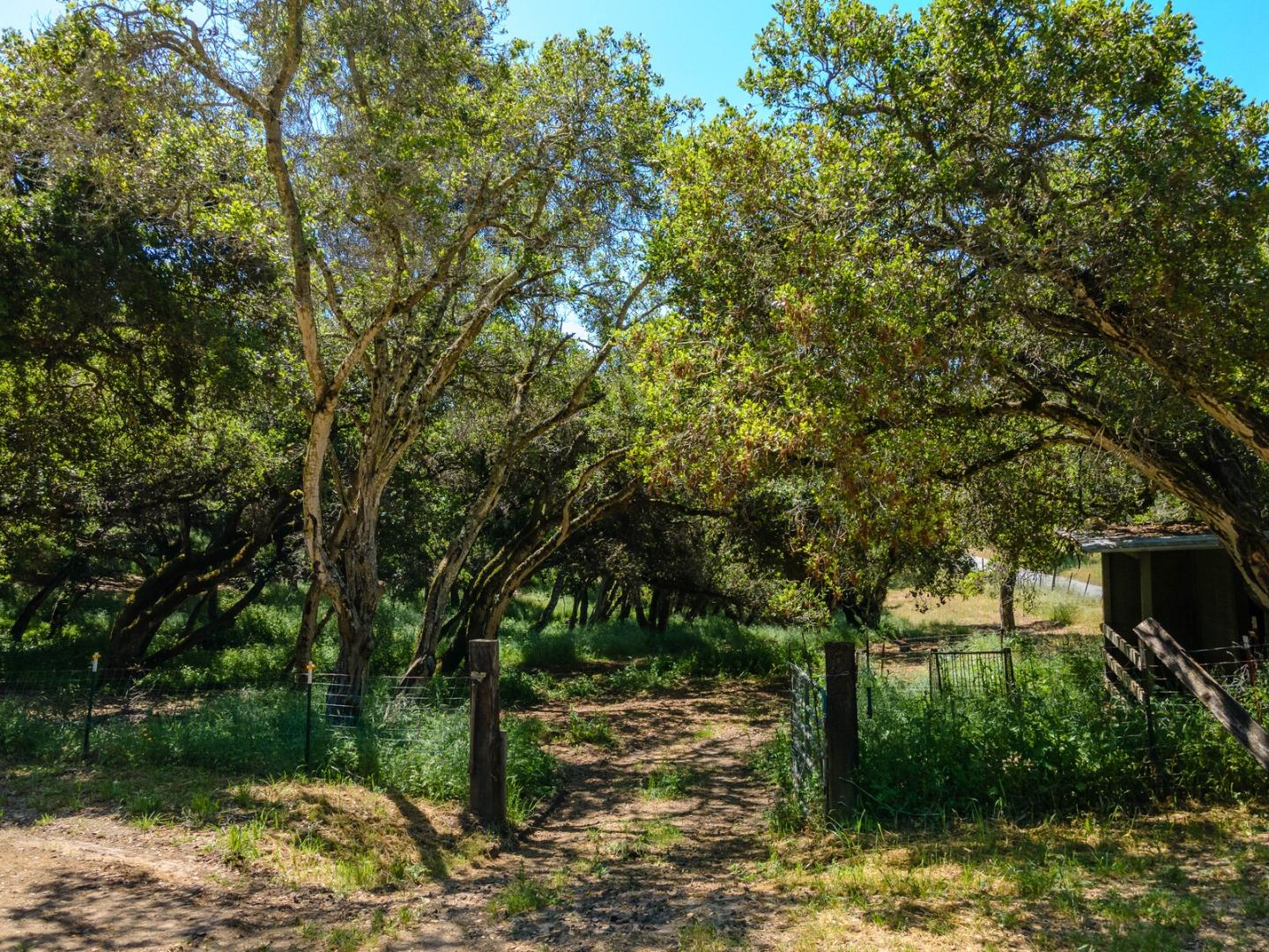 Detail Gallery Image 56 of 67 For 1375 Cole Rd, Aromas,  CA 95004 - 3 Beds | 3 Baths