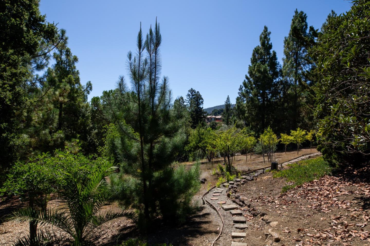 Detail Gallery Image 34 of 41 For 11610 Dawson Dr, Los Altos Hills,  CA 94024 - 6 Beds | 5 Baths