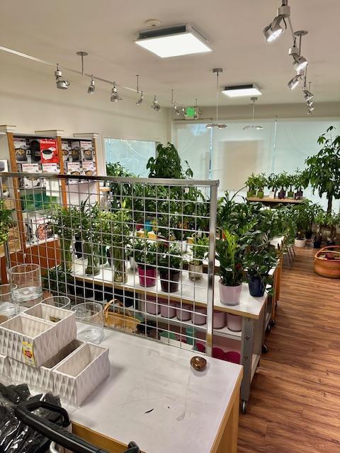 911 S 1st Avenue, Arcadia, California 91006, ,Commercial Sale,For Sale,911 S 1st Avenue,ML81977440