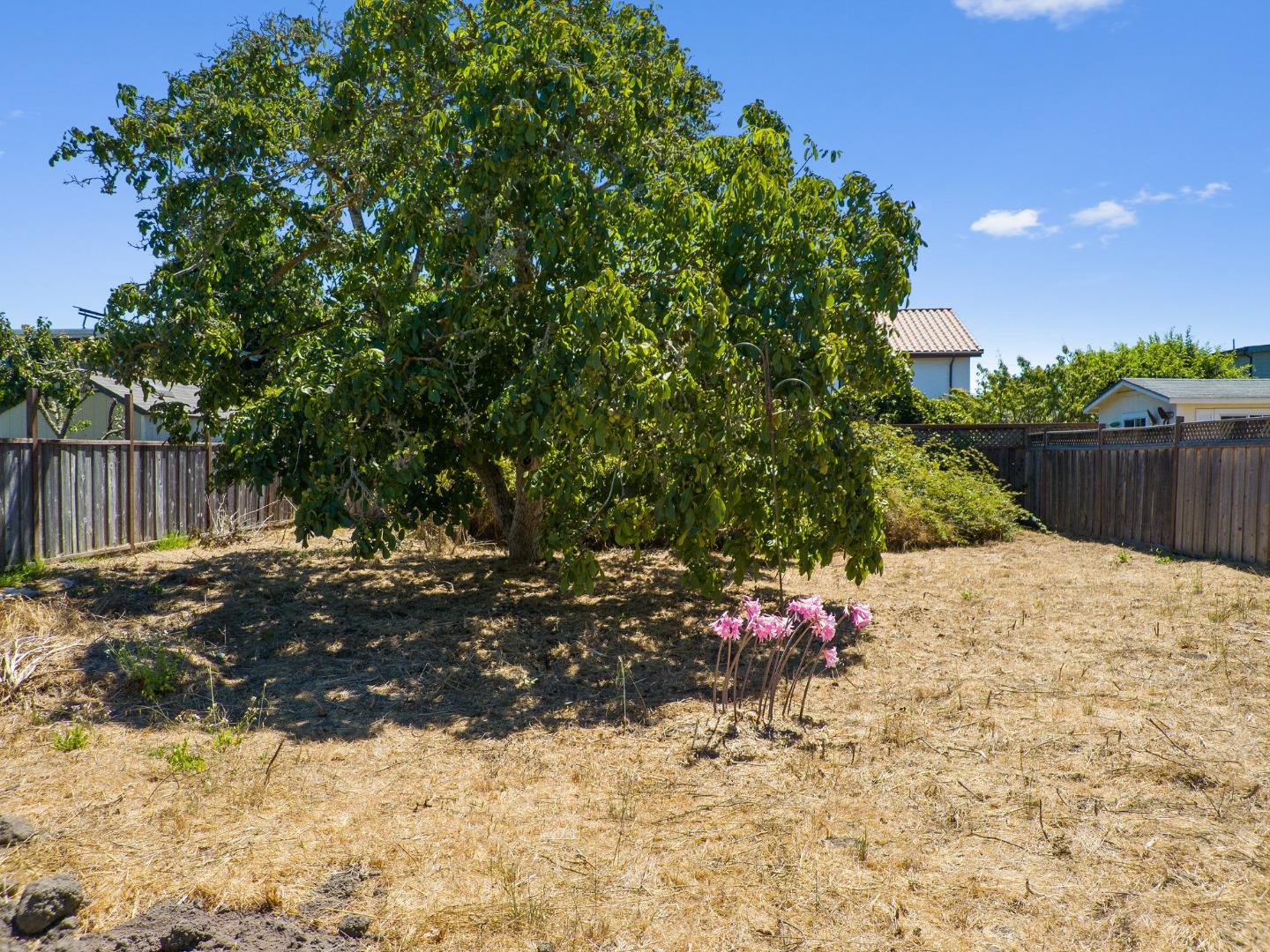 Detail Gallery Image 5 of 14 For 111 Oxford Way, Santa Cruz,  CA 95060 - 3 Beds | 1 Baths