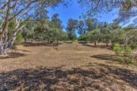 7190 Azzelio Way, Salinas, California 93907, ,Land,For Sale,7190 Azzelio Way,ML81977745